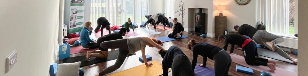 wellness-wellbeing